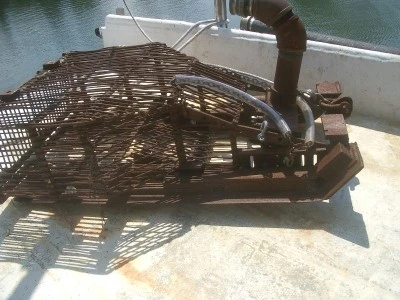 Hard clam harvester