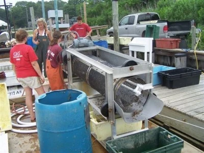 Culling machine used to screen shellfish seed